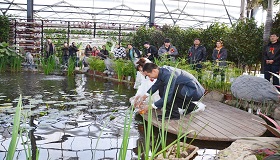 溫室生態景觀設計、施工