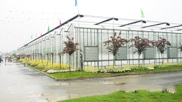 山東菜博會新型連棟溫室