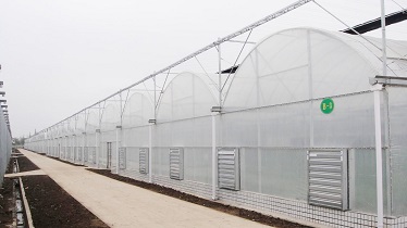 新型薄膜連棟溫室大棚