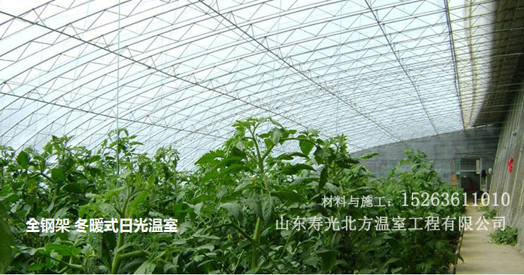 全鋼架冬暖式日光溫室蔬菜大棚