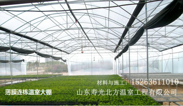 連棟薄膜溫室大棚