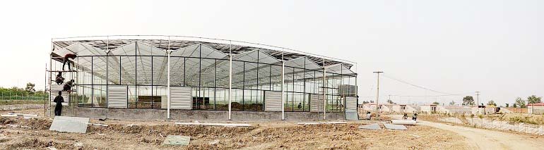 連棟溫室建設工地